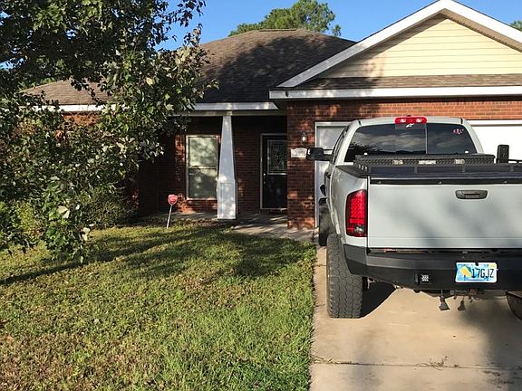 tree and grass beautiful now