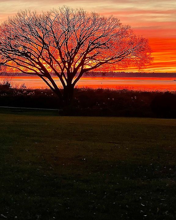 25 Sea Breeze Lane North Farm, Bristol, RI 02809 Zillow