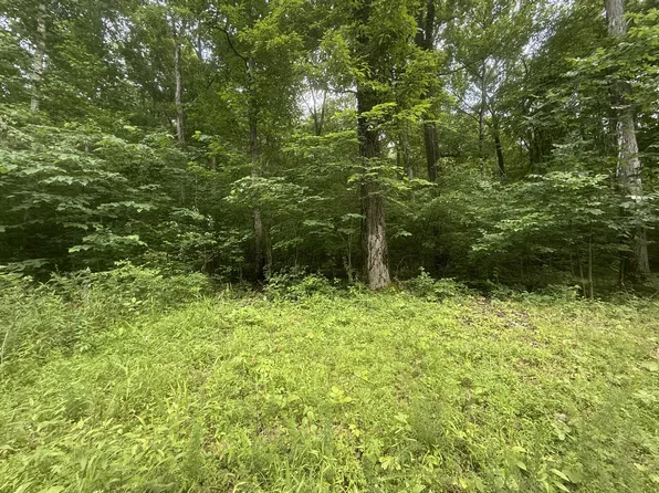 0 Caney Branch Rd Lot 13, Stewart, TN 37175