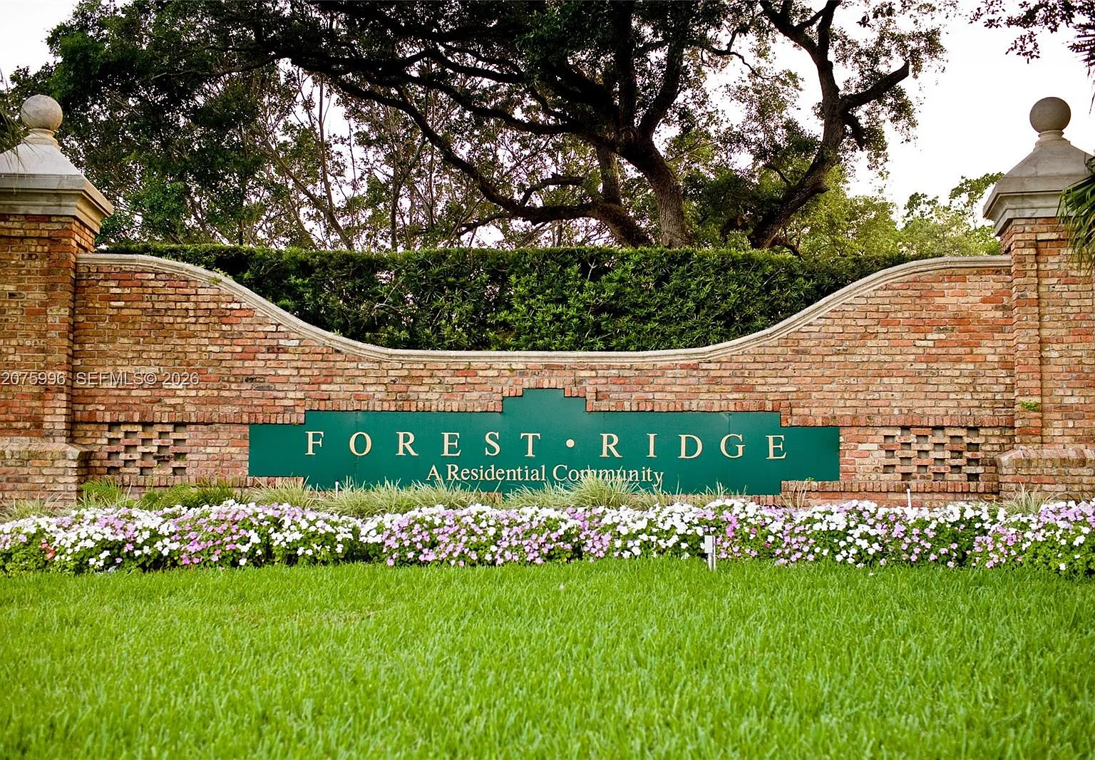 Forest Ridge Cluster Home — Photo 1