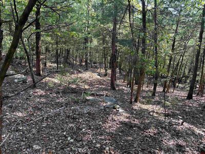 001-07971-000 Mc #5005, Yellville, AR, 72687