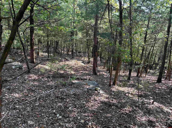 001-07971-000 Mc #5005, Yellville, AR 72687