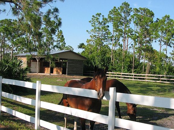 2-stall barn, tack room / work room with electric 