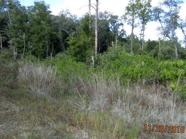 343 N Edgeline Rd, Satsuma, FL 32189