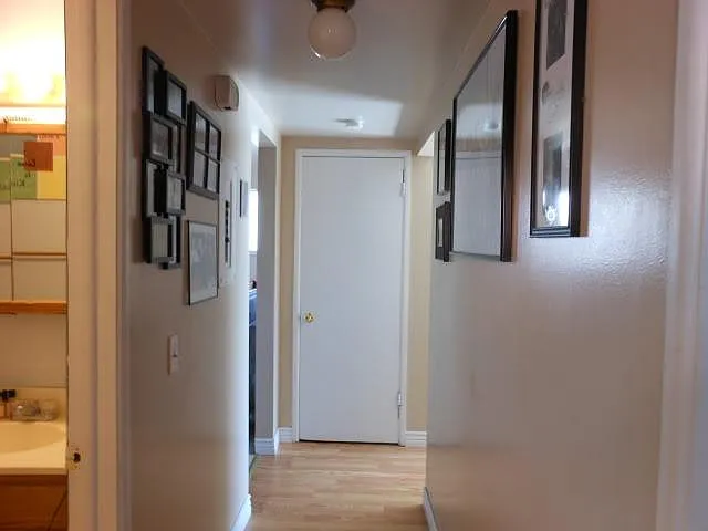 2 bed, 910 sqft, $1,345 — Photo 4