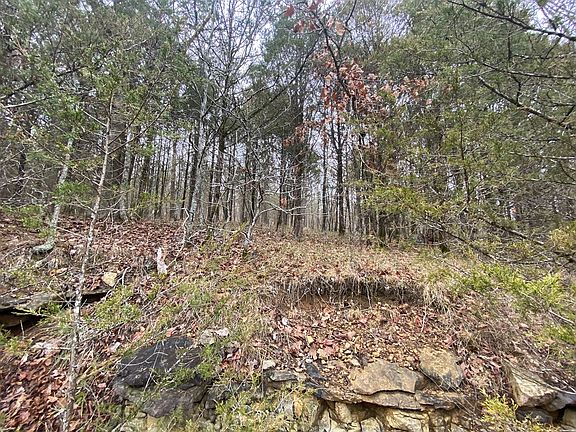 5th image of Big Buck Ln