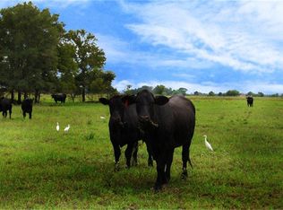 11333 Reinecker Rd, Wallis, TX 77485