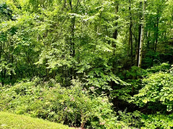 8 Black Bear Trl, Hiawassee, GA 30546