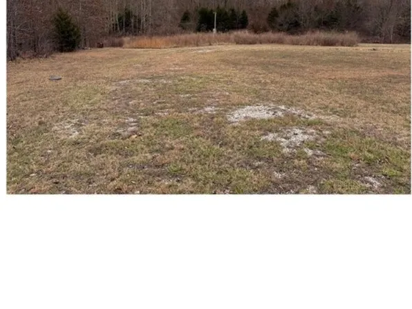 10147 Quincy Ln, Harrison, AR 72601