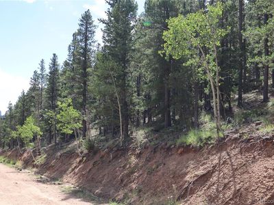 430 Lakeview Road LOT 10, 11, 12 AND 13, Bailey, CO, 80421