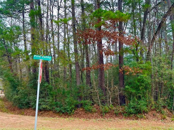 Pine Valley Dr, Shepherd, TX 77371