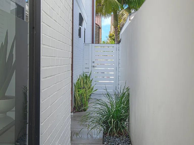 502 1/2 Begonia — Photo 25