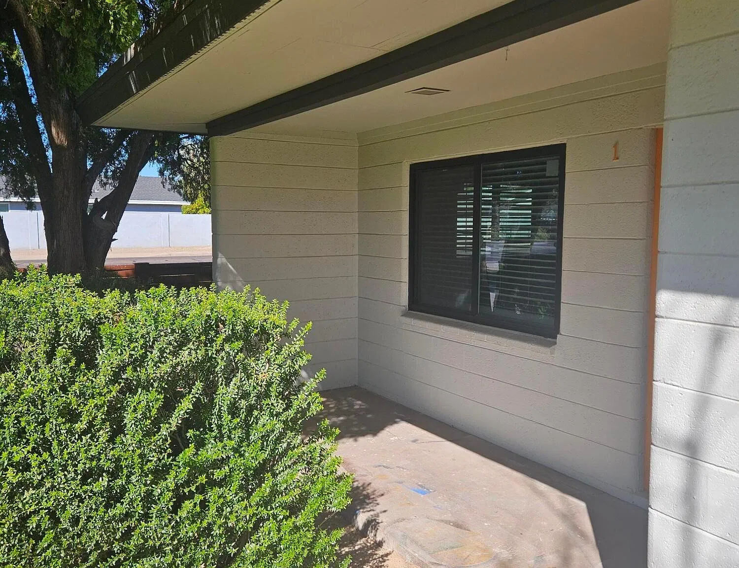 1 bed, 1.0 bath, 646 sqft, $1,249 — Photo 2
