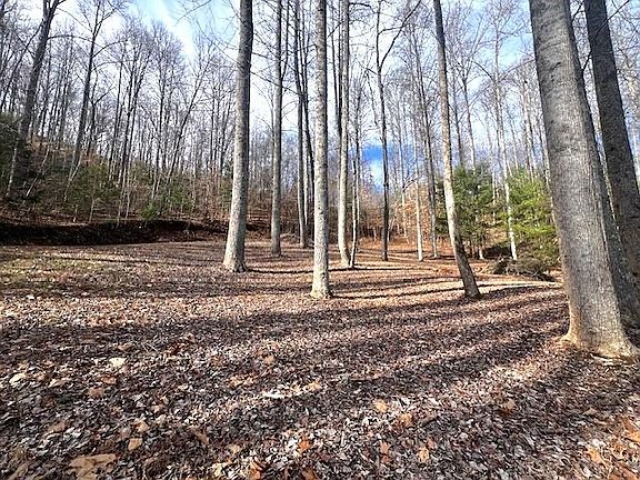 3rd image of 44 Elkhorn Ridge Dr