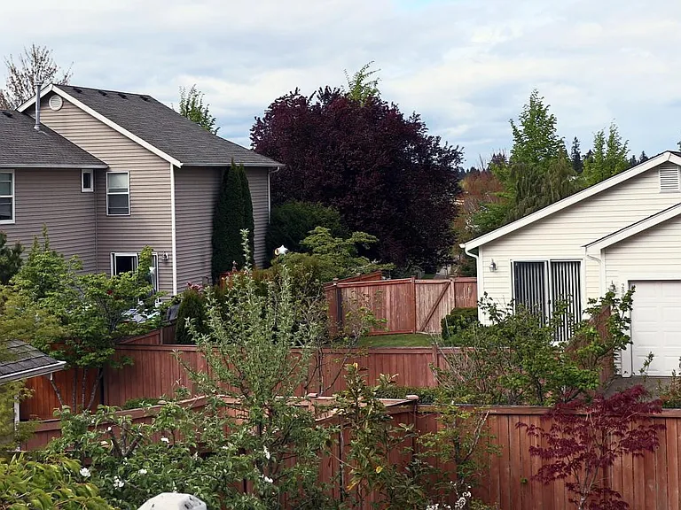 Backyard view on deck