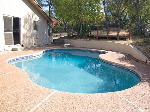 Free Form Pool w/Diving Board