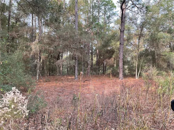 9 SW 152nd Ave, Ocala, FL 34481