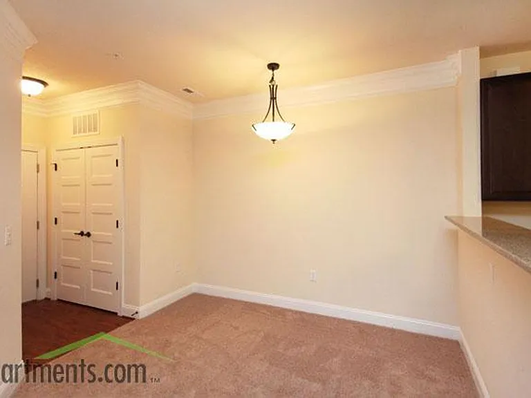 Briton Trace Apartments — Photo 39