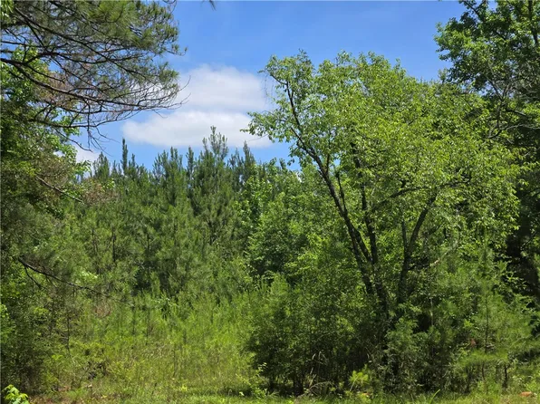 0 Wire Rd, Notasulga, AL 36866