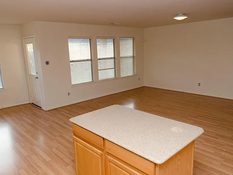 19510 Remington Martin Dr — Photo 10