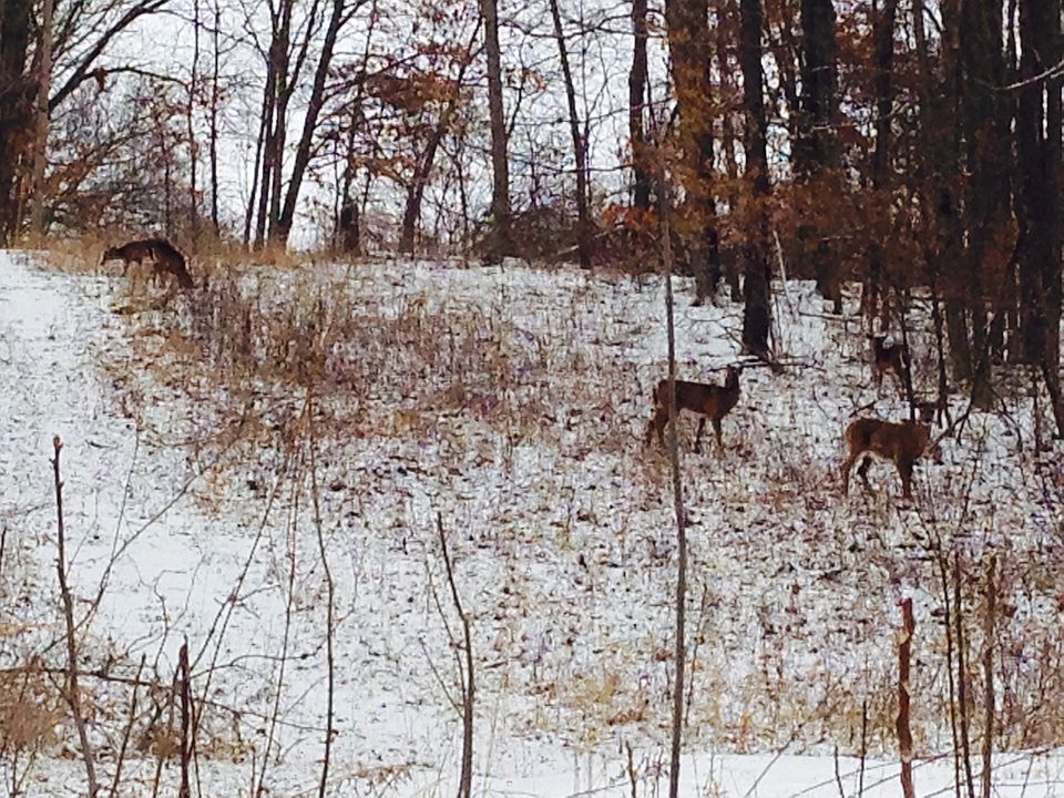 2nd image of 14729 McCown Road