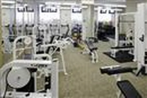 Rented by Nancy Packes Inc. | media 17