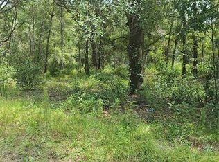 LOT 363 SW 157th Ln, Dunnellon, FL 34432