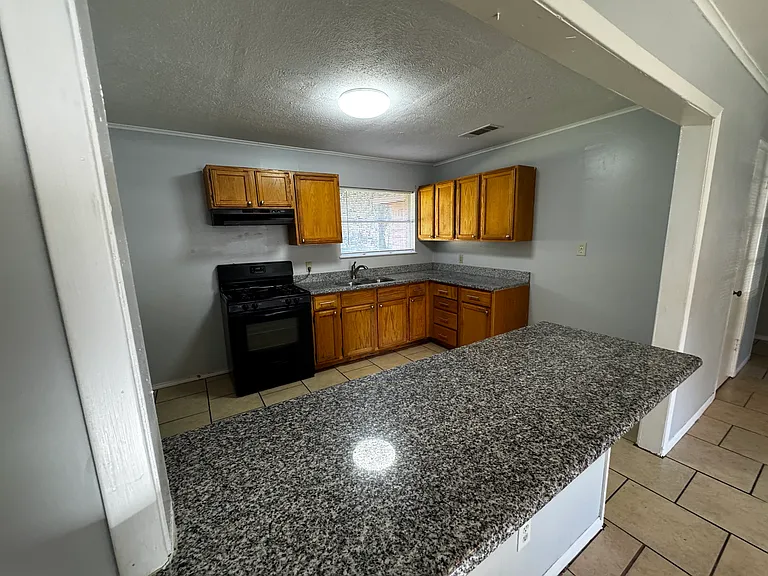 1309 Ann Arbor Dr — Photo 3