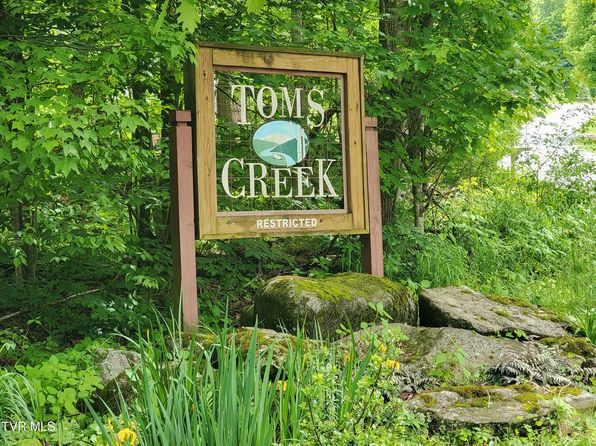206 Toms Creek Cir, Roan Mountain, TN 37687