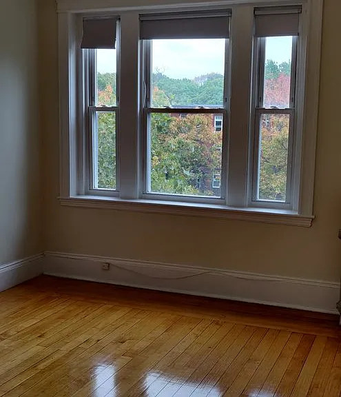 1822 Beacon St #A1 — Photo 22