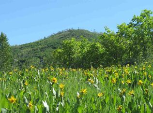 2238 Bear Dr, Steamboat Springs, CO 80487
