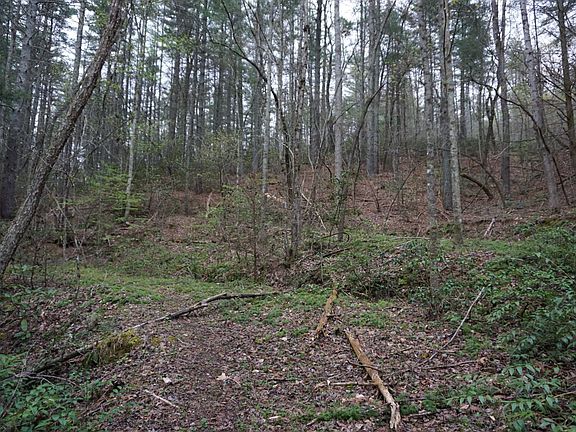 5th image of 5528 Nc Hwy 18 S