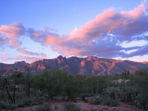 view from living room