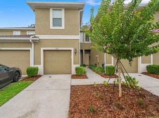 2115 Broadway View Ave, Brandon, FL 33510