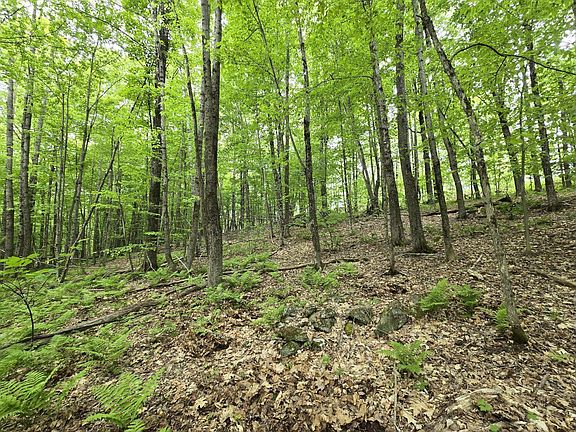 4th image of Lot 26 Canton Mountain Road
