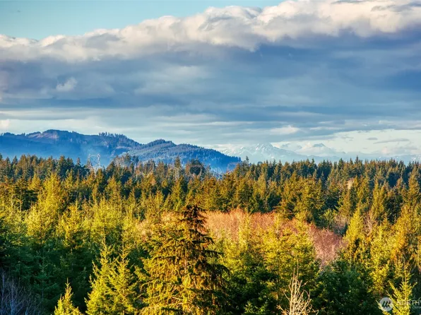13816 Quiet Waters Lane SW, Rochester, WA 98579
