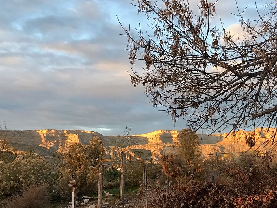 Gorgeous view from back yard