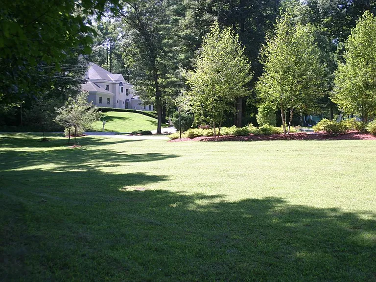 Side Yard