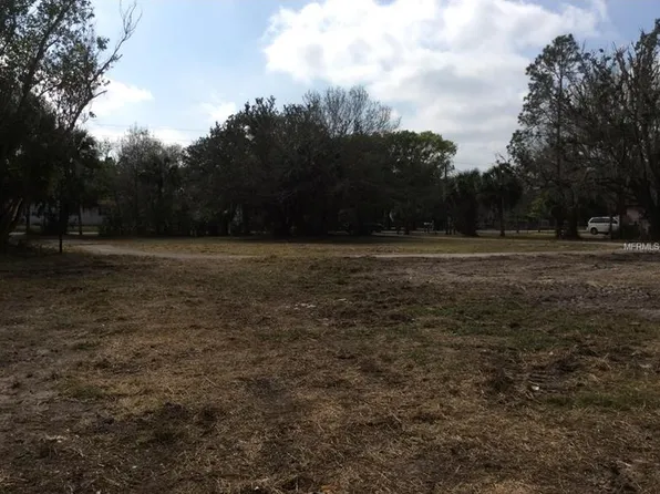 17335 Eagle Ln, Lutz, FL 33558