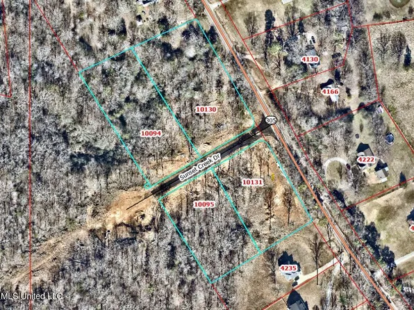 10131 Sunset Creek Dr #1, Hernando, MS 38632