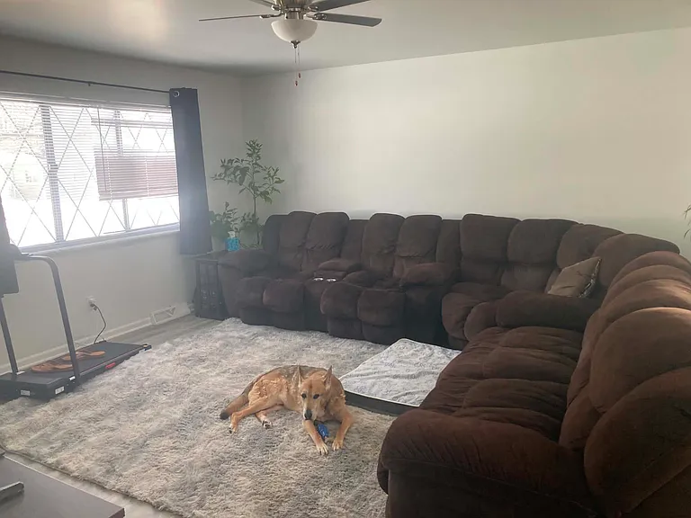 121 N Park Dr — Photo 9