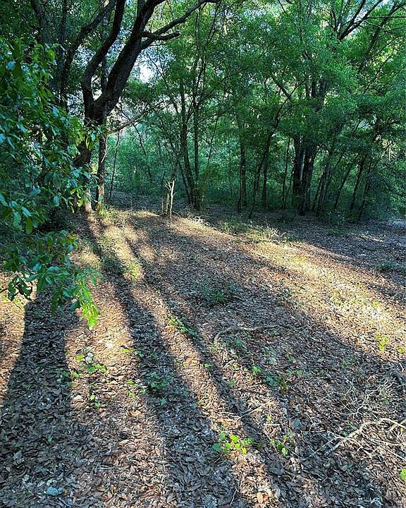 2nd image of SW Highway 484