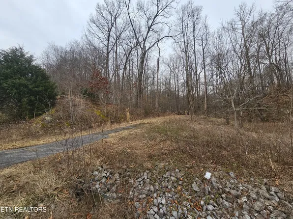 Wilderness Rd, Jonesville, VA 24263