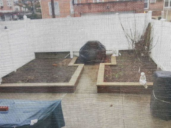 4th image of 2525 43rd St #1