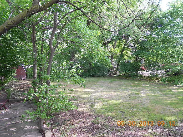Large shared Yard