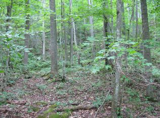 Ellison Ridge Rd, Jumping Branch, WV 25969