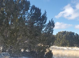 385 County Road 5064, Concho, AZ 85924