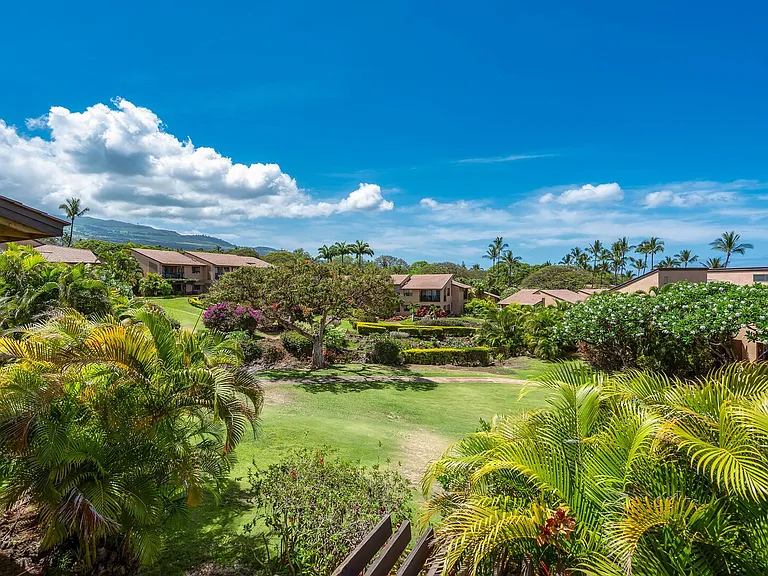 Wailea Alanui Dr — Photo 10