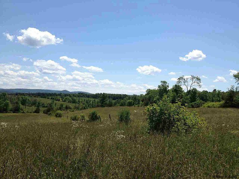 4th image of 481 Deweys Bridge Road