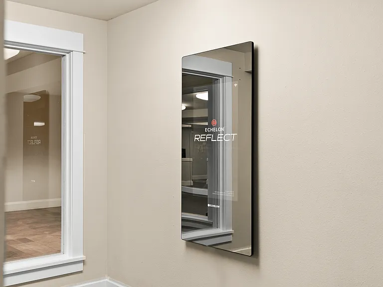 Echelon Fitness Mirror